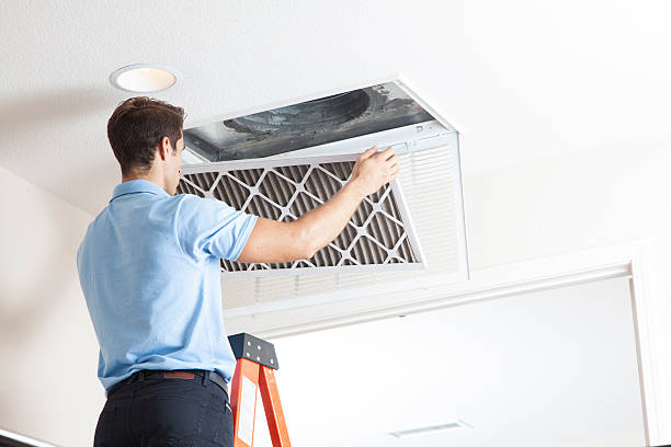 Best Air Filters and Purifiers in Owosso, MI